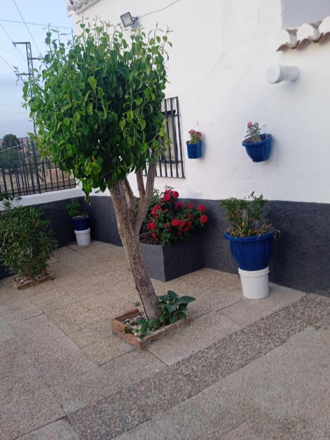 La Cueva De Guadix别墅 外观 照片